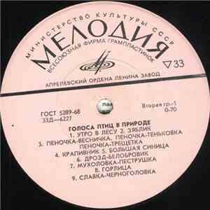 No Artist - Голоса Птиц В Природе