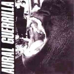 The Ex - Aural Guerrilla