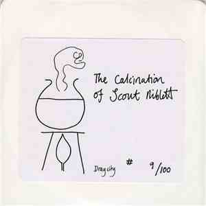 Scout Niblett - The Calcination Of Scout Niblett