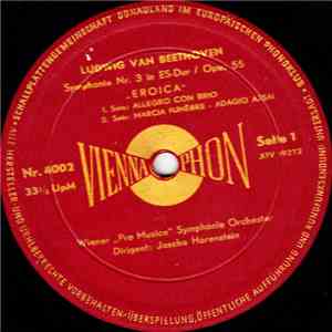 Ludwig van Beethoven, Wiener 