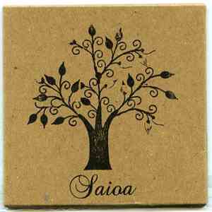 Saioa - Particular Land