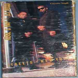 Kool G Rap & DJ Polo - Streets Of New York