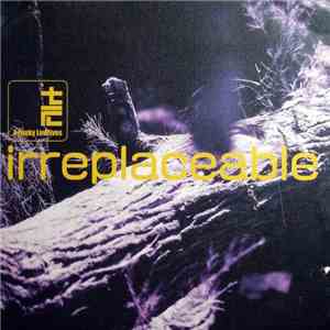 The Funky Lowlives - Irreplaceable