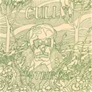 Gull - The Thin King