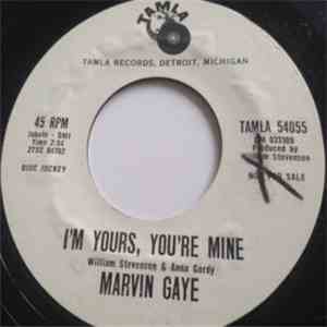 Marvin Gaye - I'm Yours, You're Mine/Sandman