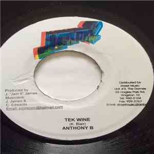 Anthony B - Tek Wine