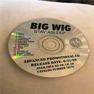 Bigwig - Stay Asleep