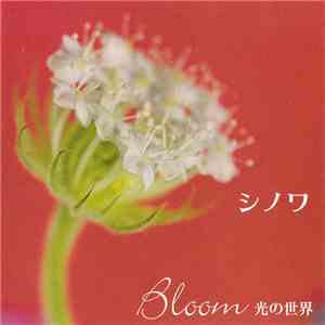 シノワ - Bloom 光の世界