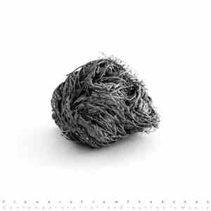 Various - Flowers From The Ashes: Contemporary Italian Electronic Music