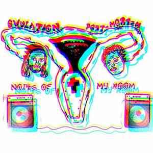 Ovulation Post-Mortem - Noise of My Room
