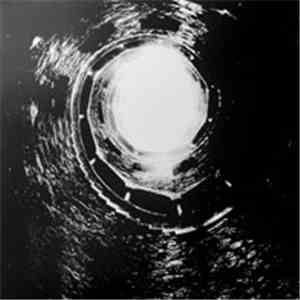 Marcia Bassett / Margarida Garcia - The Well