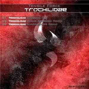 Tensile Force - Trochilidae