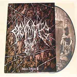Ornaments Of Sin - Inhale Zyklon B