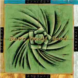Dave Weckl Band - Synergy