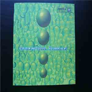 Various - Remix Trax Vol. 13 - Essential Jungle