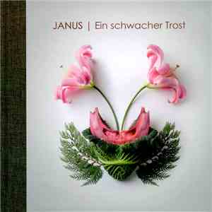 Janus - Ein Schwacher Trost