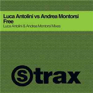 Luca Antolini vs Andrea Montorsi - Free