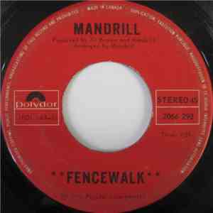 Mandrill - Fencewalk