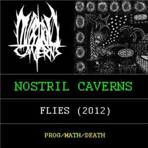 Nostril Caverns - Flies