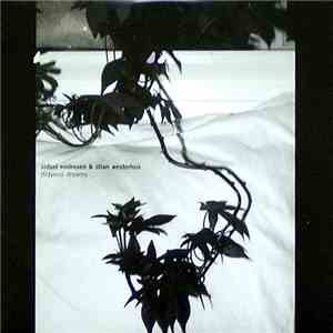 Sidsel Endresen & Stian Westerhus - Didymoi Dreams