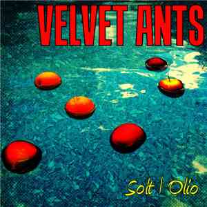 The Velvet Ants - Solt Olio