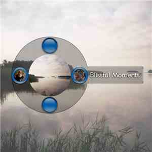 Various - Blissful Moments