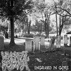 Venereal Messiah - Engraved In Gore