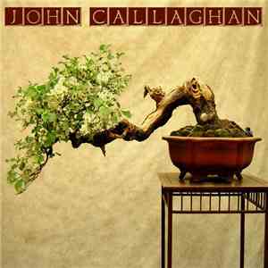 John Callaghan - Thirty Years On The Dancefloor