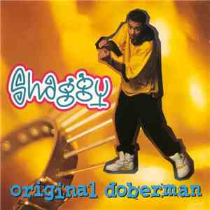 Shaggy - Original Doberman