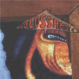 Colossamite - Economy Of Motion
