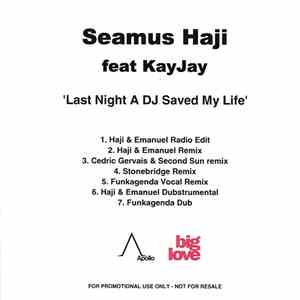 Seamus Haji Featuring KayJay - Last Night A DJ Saved My Life