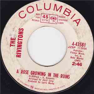 The Rivingtons - A Rose Growing In The Ruins / Tend To Business