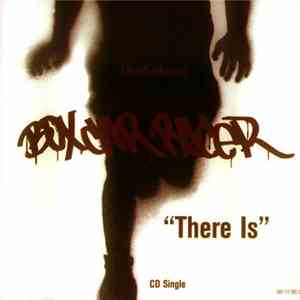 Box Car Racer - There Is