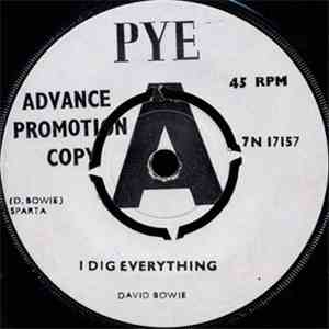 David Bowie - I Dig Everything