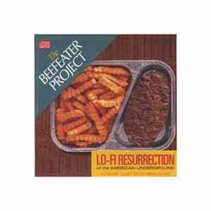 The Beefeater Project - Lo-Fi Resurrection Of The American Underground