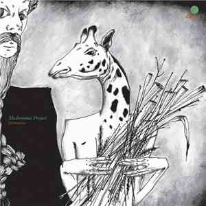 Mushrooms Project - Undergrass