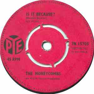 The Honeycombs - Is It Because?