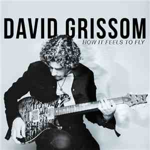 David Grissom - How It Feels To Fly