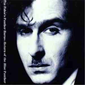 Tav Falco's Panther Burns - Return Of The Blue Panther