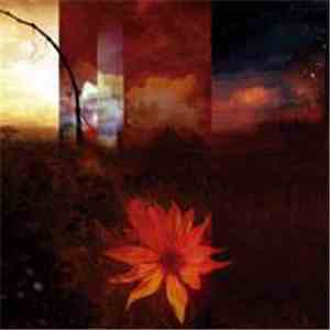 To-Mera - Transcendental