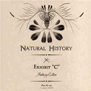 Anthony Collins - Exhibit 