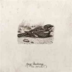Guy Buttery - Fox Hill Lane