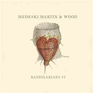 Medeski Martin & Wood - Radiolarians II