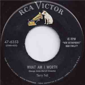 Terry Fell - What Am I Worth / That's The Way The Big Ball Bounces