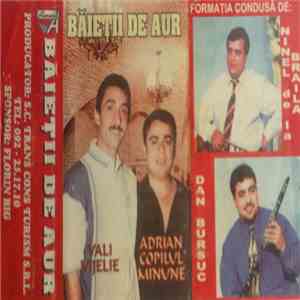 Vali Vijelie, Adrian Copilul Minune - Băieții De Aur, Vol.1