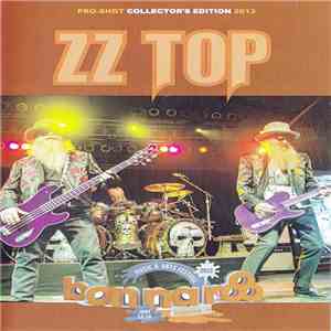 ZZ Top - Bonnaroo Festival 2013