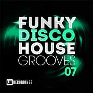 Various - Funky Disco House Grooves 07