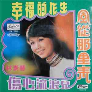 林素慧 - 傷心流浪兒
