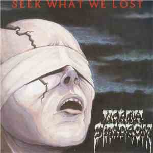 North Syndrom - Seek What We Lost