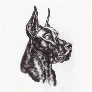Great Dane  - Alpha Dog